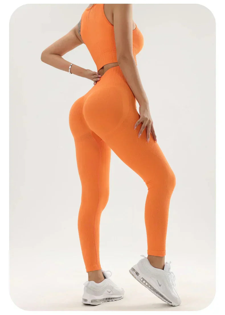 ספוט- סט טייץ