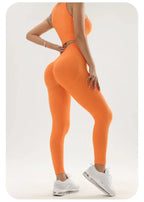 ספוט- סט טייץ